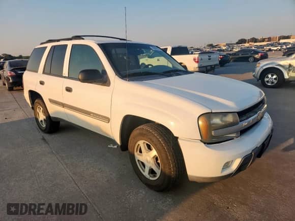 2002 Chevrolet TrailBlazer LTZ z VIN 1GNDT13S922181772, wystawiony jako Copart lot #80696325 z przebiegiem 174 705 mil mil oraz Szkoda całkowita • Salvage title. Historia ofert i sprzedaży dostępna na DreamBid. Obrazek 4.