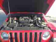 2021 Jeep Wrangler Unlimited Sahara High Altitude with VIN 1C4HJXEN0MW687948, listed as a IAAI auction lot 43351997 with 56,027 mi miles and . Bid and sale history available at DreamBid. Image 10.