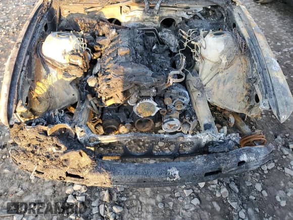 2002 BMW 5 Series 530i with VIN WBADT53432CE93887, listed as a Copart auction lot 48409015 with Not provided miles and Salvage title. Bid and sale history available at DreamBid. Image 11.