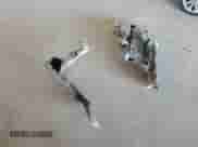 2010 Lexus IS 250 с VIN JTHCF5C29A5038867, выставлен на аукционе Copart как лот 81718445 с пробегом Не указан миль и Чистый • Clean title. История ставок и продаж доступна на DreamBid. Изображение 12.