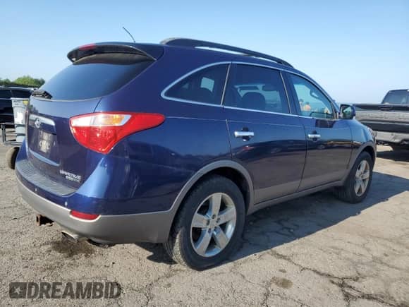 2009 Hyundai Veracruz GLS with VIN KM8NU73C69U083122, listed as a Copart auction lot 61738795 with 175,317 mi miles and Clean title. Bid and sale history available at DreamBid. Image 3.