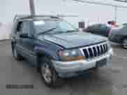 2002 Jeep Grand Cherokee Sport with VIN 1J4GW38S52C160021, listed as a IAAI auction lot 42207688 with 132,956 mi miles and . Bid and sale history available at DreamBid. Image 1.