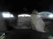 2006 Ford Mustang Standard с VIN 1ZVFT84N665255606, выставлен на аукционе IAAI как лот 42596743 с пробегом 126 759 миль миль и . История ставок и продаж доступна на DreamBid. Изображение 19.