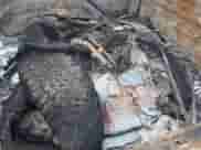 2014 Ram 1500 Sport with VIN 1C6RR7MT6ES227898, listed as a IAAI auction lot 42515490 with Not provided miles and . Bid and sale history available at DreamBid. Image 12.