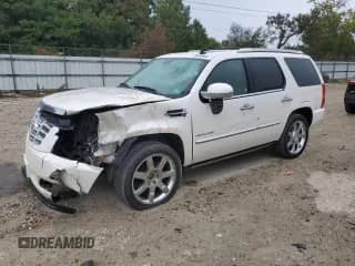 2010 Cadillac Escalade Premium с VIN 1GYUKCEF3AR279865, выставлен на аукционе Copart как лот 85480555 с пробегом 113 726 миль миль и Списание • Salvage title. История ставок и продаж доступна на DreamBid. Изображение 1.
