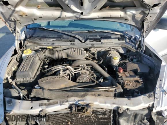 1999 Dodge Dakota SLT with VIN 1B7GL22X0XS108886, listed as a Copart auction lot 81113005 with 188,072 mi miles and Salvage title. Bid and sale history available at DreamBid. Image 11.