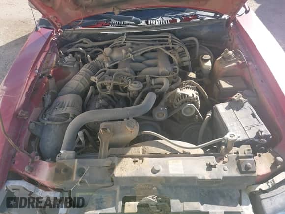 2004 Ford Mustang Standard with VIN 1FAFP40684F167393, listed as a IAAI auction lot 43320458 with Not provided miles and . Bid and sale history available at DreamBid. Image 10.