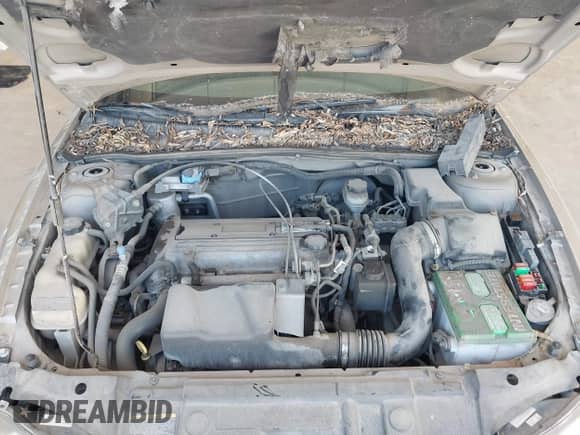 2005 Chevrolet Cavalier with VIN 1G1JC52F557102928, listed as a IAAI auction lot 42503240 with 258,303 mi miles and . Bid and sale history available at DreamBid. Image 10.