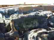 2016 Chrysler 300 S Alloy Edition с VIN 2C3CCABG8GH229864, выставлен на аукционе IAAI как лот 41686322 с пробегом Не указан миль и . История ставок и продаж доступна на DreamBid. Изображение 7.