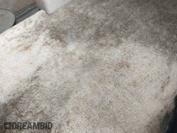 1993 Chevrolet Blazer с VIN 1GNEK18K3PJ362282, выставлен на аукционе IAAI как лот 42208527 с пробегом 262 418 миль миль и . История ставок и продаж доступна на DreamBid. Изображение 13.