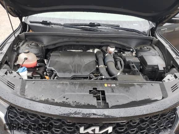 2022 Kia Sorento SX with VIN 5XYRKDLF9NG124830, listed as a Copart auction lot 57575715 with Not provided miles and Salvage title. Bid and sale history available at DreamBid. Image 12.