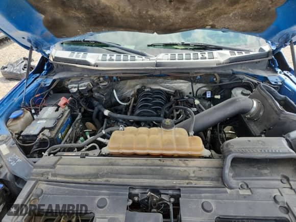 2017 Ford F-150 XL with VIN 1FTEW1EF7HFA00402, listed as a Copart auction lot 64907035 with 220,931 mi miles and Salvage title. Bid and sale history available at DreamBid. Image 11.