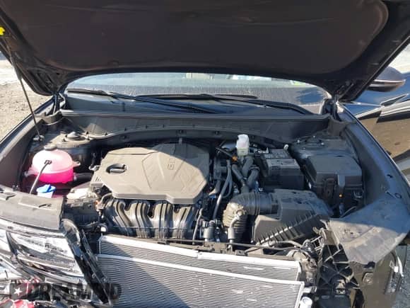 2024 Hyundai Tucson SEL with VIN 5NMJFCDE2RH389361, listed as a IAAI auction lot 43141507 with 5,253 mi miles and . Bid and sale history available at DreamBid. Image 10.