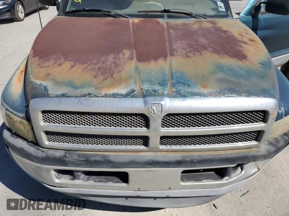 1995 Dodge 1500 with VIN 3B7HC13Z3SG707473, listed as a Copart auction lot 77625584 with 220,298 mi miles and Clean title. Bid and sale history available at DreamBid. Image 11.