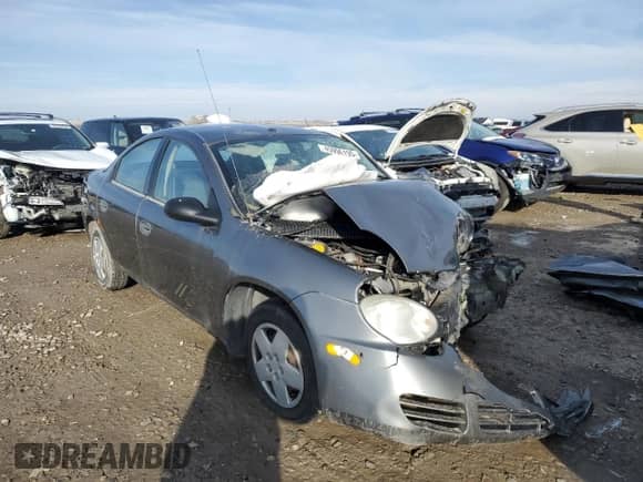 2005 Dodge Neon SE with VIN 1B3ES26C55D228638, listed as a Copart auction lot 45996195 with Not provided miles and Salvage title. Bid and sale history available at DreamBid. Image 4.