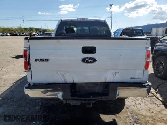 2013 Ford F-150 XL with VIN 1FTEX1EM0DFB37252, listed as a Copart auction lot 84016145 with 227,199 mi miles and Clean title. Bid and sale history available at DreamBid. Image 6.
