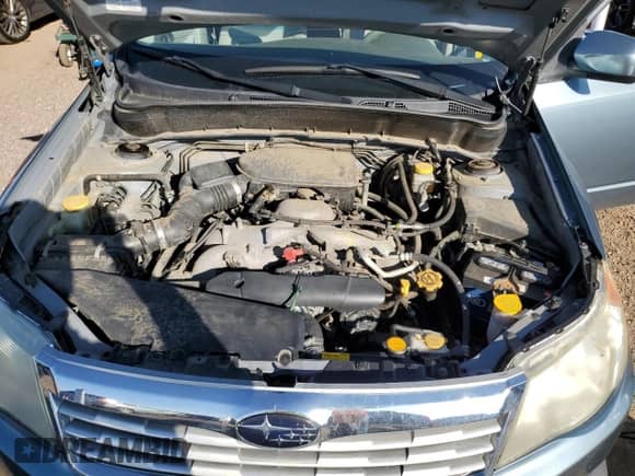 2009 Subaru Forester X with VIN JF2SH63669H785774, listed as a Copart auction lot 81439965 with 145,473 mi miles and Clean title. Bid and sale history available at DreamBid. Image 12.