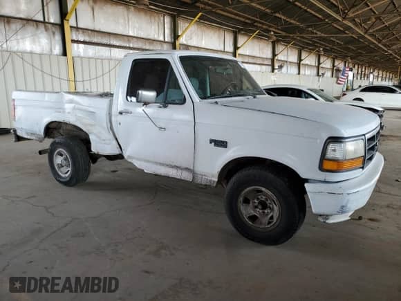 1995 Ford F-150 with VIN 1FTEF15Y6SNA67491, listed as a Copart auction lot 71107295 with 190,753 mi miles and Salvage title. Bid and sale history available at DreamBid. Image 4.