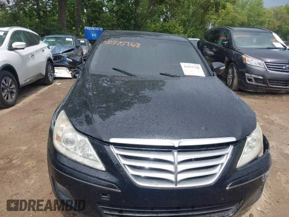 2009 Hyundai Genesis with VIN KMHGC46F29U062753, listed as a IAAI auction lot 42975768 with 169,823 mi miles and . Bid and sale history available at DreamBid. Image 12.