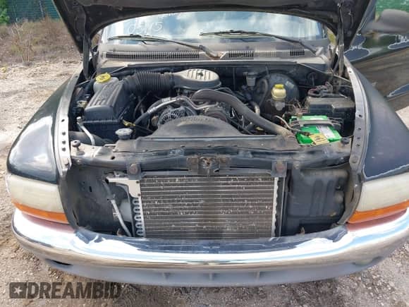 1998 Dodge Dakota SLT с VIN 1B7GL22X0WS731035, выставлен на аукционе IAAI как лот 42279313 с пробегом 219 039 миль миль и . История ставок и продаж доступна на DreamBid. Изображение 10.