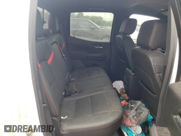 2023 Chevrolet Colorado 4WD Z71 with VIN 1GCPTDEK4P1229065, listed as a Copart auction lot 67097465 with Not provided miles and Salvage title. Bid and sale history available at DreamBid. Image 10.