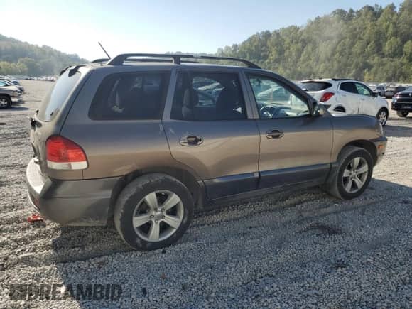 2005 Hyundai Santa Fe GLS with VIN KM8SC73D65U906852, listed as a Copart auction lot 81084895 with 123,279 mi miles and Salvage title. Bid and sale history available at DreamBid. Image 3.