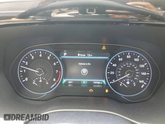 2021 Hyundai Palisade SEL with VIN KM8R4DHE8MU206650, listed as a Copart auction lot 81599495 with 79,750 mi miles and Salvage title. Bid and sale history available at DreamBid. Image 9.