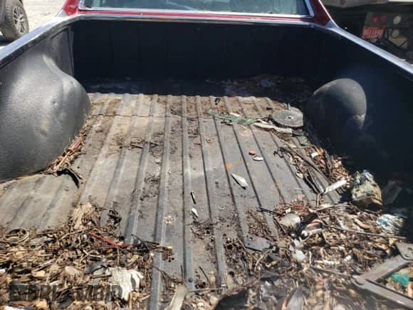 1969 Chevrolet El Camino с VIN 136809K445629, выставлен на аукционе Copart как лот 57011525 с пробегом Не указан миль и Списание • Salvage title. История ставок и продаж доступна на DreamBid. Изображение 10.