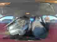 2020 Hyundai Accent SE z VIN 3KPC24A69LE105049, wystawiony jako Copart lot #70384135 z przebiegiem 83 647 mil mil oraz Szkoda całkowita • Salvage title. Historia ofert i sprzedaży dostępna na DreamBid. Obrazek 14.