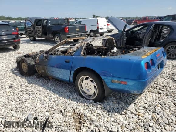 1993 Chevrolet Corvette with VIN 1G1YY23P6P5104627, listed as a Copart auction lot 68244334 with Not provided miles and Clean title. Bid and sale history available at DreamBid. Image 2.