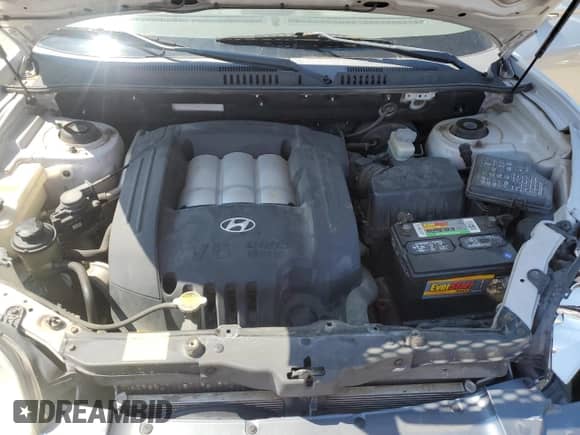 2003 Hyundai Santa Fe GLS with VIN KM8SC73D53U487244, listed as a Copart auction lot 71207625 with 142,006 mi miles and Salvage title. Bid and sale history available at DreamBid. Image 12.