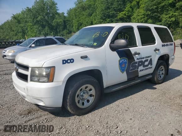2009 Chevrolet Tahoe Special Service with VIN 1GNFK03099R231902, listed as a Copart auction lot 59691885 with 136,221 mi miles and Clean title. Bid and sale history available at DreamBid. Image 1.