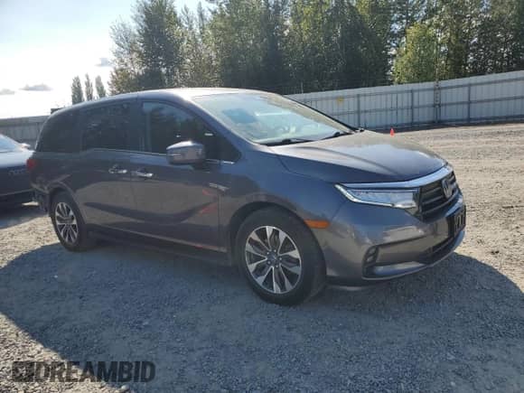 2022 Honda Odyssey EX-L with VIN 5FNRL6H74NB024443, listed as a Copart auction lot 80313535 with 75,467 mi miles and Salvage title. Bid and sale history available at DreamBid. Image 4.