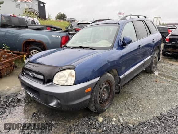 2006 Hyundai Santa Fe with VIN KM8SB13D46U096395, listed as a Copart auction lot 65184625 with 189,822 mi miles and Salvage title. Bid and sale history available at DreamBid. Image 1.