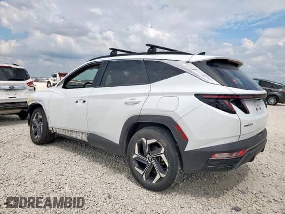 2022 Hyundai Tucson SEL Convenience with VIN KM8JFCA14NU060399, listed as a Copart auction lot 69912005 with 147,516 mi miles and Salvage title. Bid and sale history available at DreamBid. Image 2.