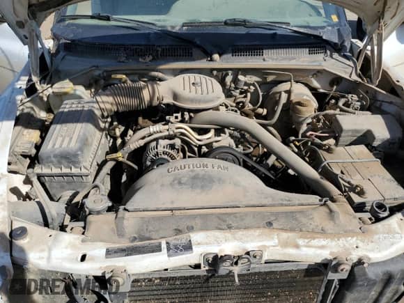 1999 Dodge Dakota SLT with VIN 1B7FL26X0XS273052, listed as a Copart auction lot 73429864 with 177,094 mi miles and Salvage title. Bid and sale history available at DreamBid. Image 11.