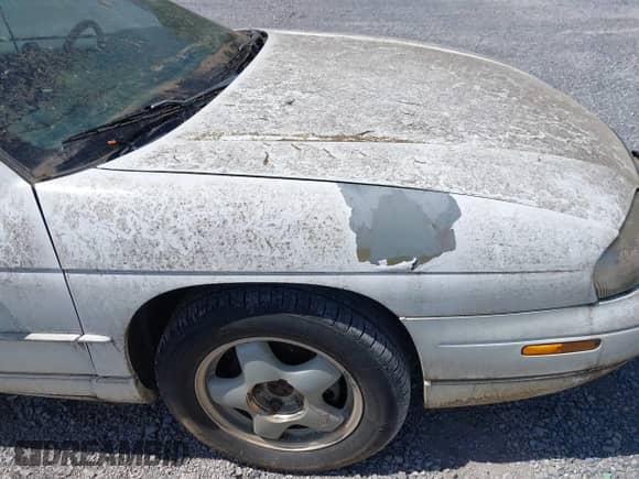1998 Chevrolet Monte Carlo LS с VIN 2G1WW12MXW9114335, выставлен на аукционе IAAI как лот 42284798 с пробегом 214 728 миль миль и . История ставок и продаж доступна на DreamBid. Изображение 15.