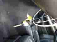 2005 Honda Accord EX-L с VIN 1HGCM82645A002368, выставлен на аукционе IAAI как лот 43335479 с пробегом 255 634 миль миль и . История ставок и продаж доступна на DreamBid. Изображение 11.