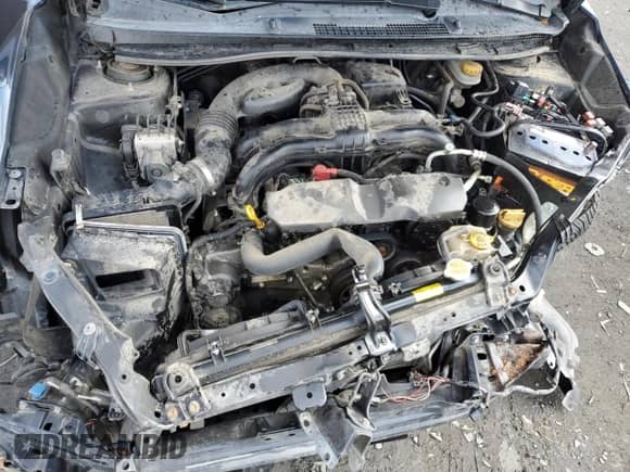 2015 Subaru Impreza Limited with VIN JF1GPAM65F8207353, listed as a Copart auction lot 49359525 with Not provided miles and Salvage title. Bid and sale history available at DreamBid. Image 11.