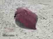 2014 Toyota Sienna LE AAS with VIN 5TDKK3DCXES468654, listed as a Copart auction lot 86662125 with 133,759 mi miles and Salvage title. Bid and sale history available at DreamBid. Image 13.