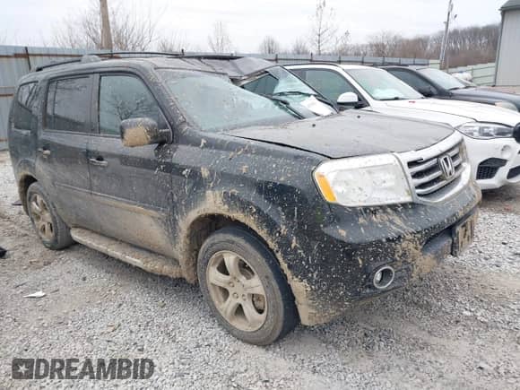 2013 Honda Pilot EX-L with VIN 5FNYF4H70DB013445, listed as a IAAI auction lot 41510836 with 292,896 mi miles and . Bid and sale history available at DreamBid. Image 1.