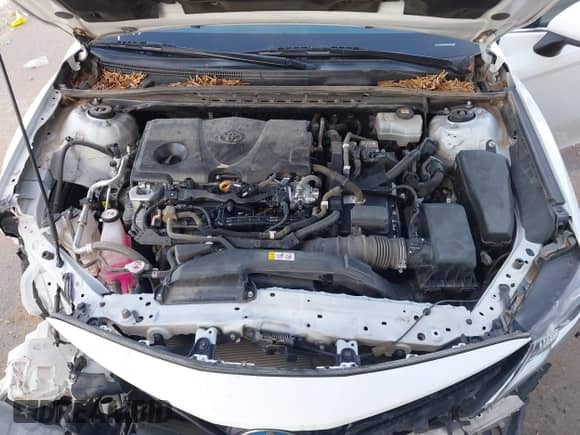 2021 Toyota Camry Hybrid LE with VIN 4T1C31AK3MU560440, listed as a IAAI auction lot 43202632 with 65,038 mi miles and . Bid and sale history available at DreamBid. Image 10.