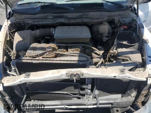 2003 Dodge 1500 ST z VIN 1D7HA16N93J659742, wystawiony jako Copart lot #68047325 z przebiegiem 176 683 mil mil oraz Czysty tytuł • Clean title. Historia ofert i sprzedaży dostępna na DreamBid. Obrazek 11.