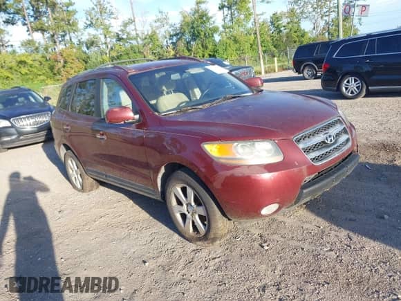 2007 Hyundai Santa Fe SE with VIN 5NMSH13E57H074524, listed as a IAAI auction lot 43314807 with 132,122 mi miles and . Bid and sale history available at DreamBid. Image 1.