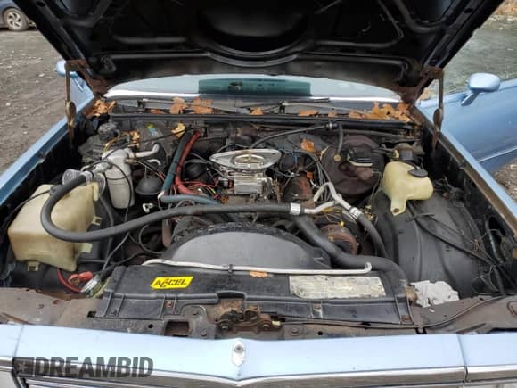 1980 Chevrolet Malibu с VIN 1W27KAB445289, выставлен на аукционе Copart как лот 83806964 с пробегом 104 631 миль миль и Списание • Salvage title. История ставок и продаж доступна на DreamBid. Изображение 12.