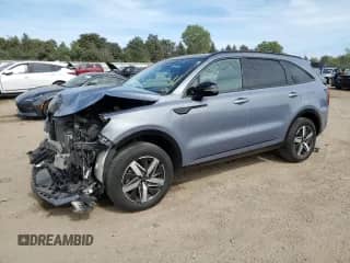 2021 Kia Sorento EX with VIN 5XYRHDLF9MG033201, listed as a Copart auction lot 80019245 with 59,213 mi miles and Salvage title. Bid and sale history available at DreamBid. Image 1.