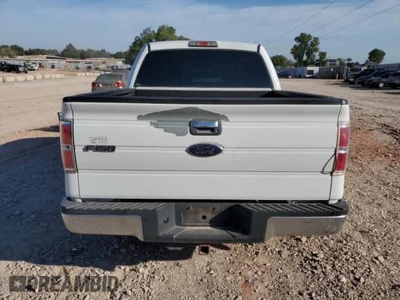 2009 Ford F-150 XL z VIN 1FTRW12889KA45509, wystawiony jako Copart lot #83948885 z przebiegiem 430 139 mil mil oraz Szkoda całkowita • Salvage title. Historia ofert i sprzedaży dostępna na DreamBid. Obrazek 6.