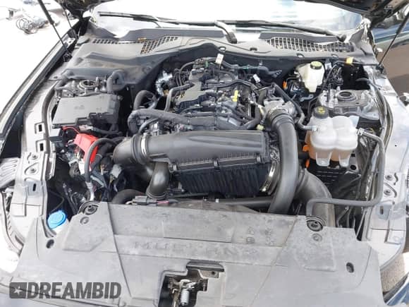 2024 Ford Mustang EcoBoost with VIN 1FA6P8TH3R5138370, listed as a IAAI auction lot 42334912 with 6,197 mi miles and . Bid and sale history available at DreamBid. Image 10.