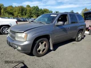 2009 Chevrolet TrailBlazer 1LT z VIN 1GNDT33S092129162, wystawiony jako Copart lot #85130965 z przebiegiem 139 534 mil mil oraz Czysty tytuł • Clean title. Historia ofert i sprzedaży dostępna na DreamBid. Obrazek 1.