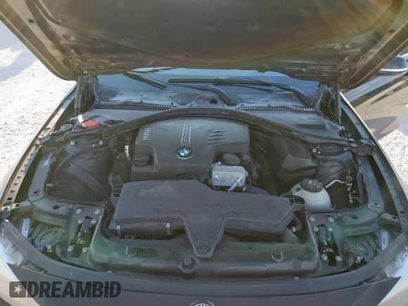 2014 BMW 3 Series 328i xDrive z VIN WBA3B3C50EJ981557, wystawiony jako Copart lot #80561845 z przebiegiem 202 049 mil mil oraz Szkoda całkowita • Salvage title. Historia ofert i sprzedaży dostępna na DreamBid. Obrazek 11.